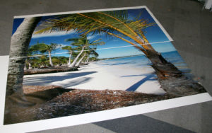 poster krooder